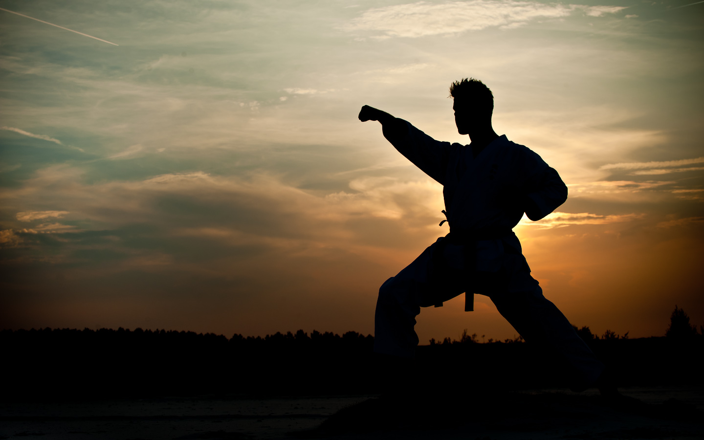 Why Karate Is Good For You